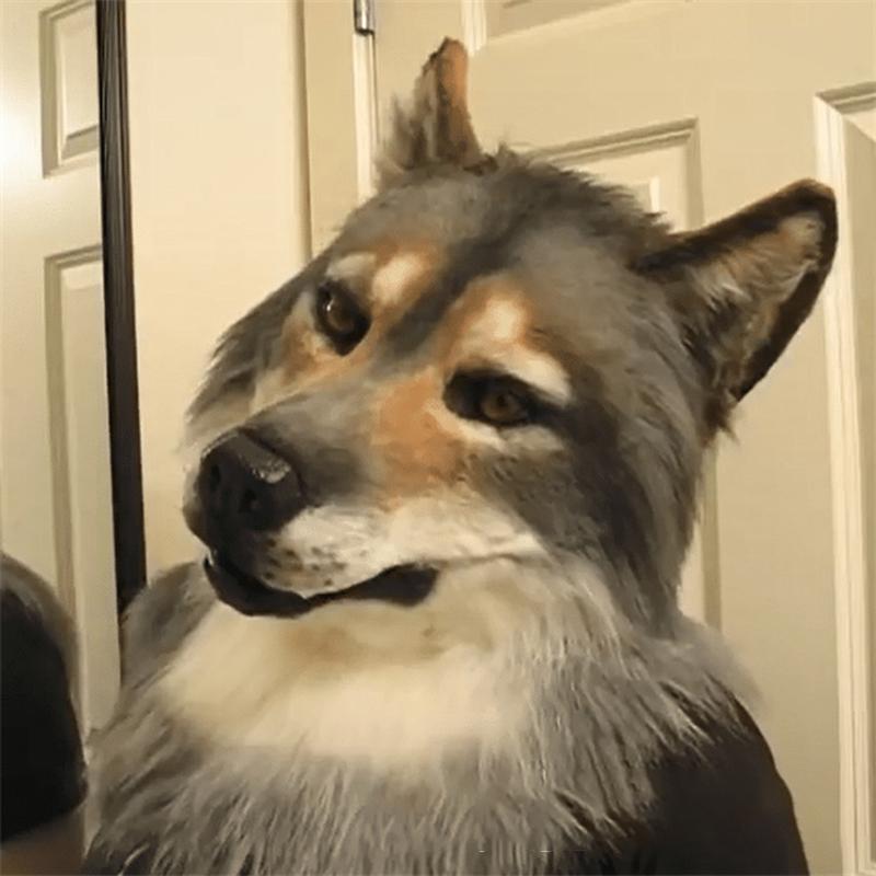 Hund Latex Maske Cosplay Party Requisiten Erwachsener Ganzgesichts Grau Haar Wolf Masken Halloween Karneval Kostüm Lustiges Pelztier Wolf Masken