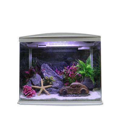 Peces y mascotas acuáticas – Decoración de peceras
