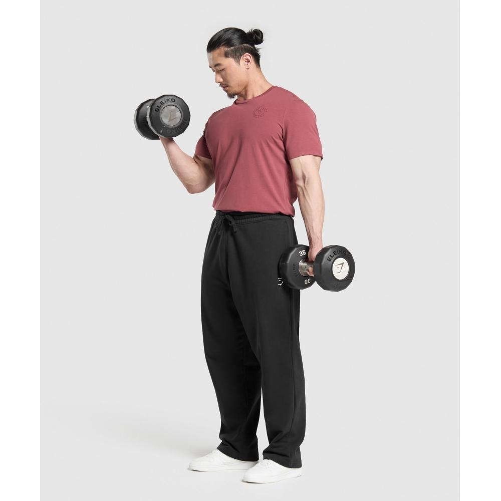 Gymshark T-shirt Legacy rose baie délavé A5a3b Kcps