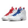 Nike Little Posite One USA Moon GS Sneakers DJ4024-001