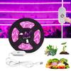 5V USB Touch-Activated LED Plant Strip - Full Spectrum Succulent Grow Light