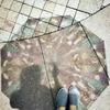 Clear Bubble Umbrella Wedding,Transparent Umbrella Windproofs Canopy Rain Bubble Umbrella Church Glass Stick Umbrella