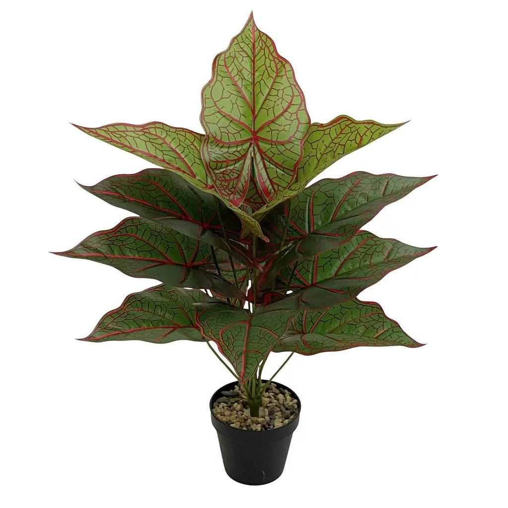 Nordic Style Taro Leaf Green Plant for Home Decor and Garden Landscaping