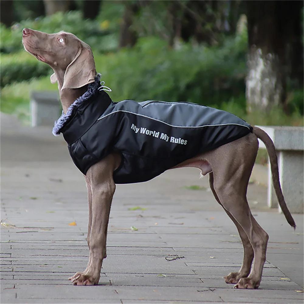 XL-6XL Winter Warm Große Hunde Kleidung mit Pelzkragen Verdicken Haustier Mantel Jacke für Mittlere Große Hunde Labrador Border Collie Kleidung