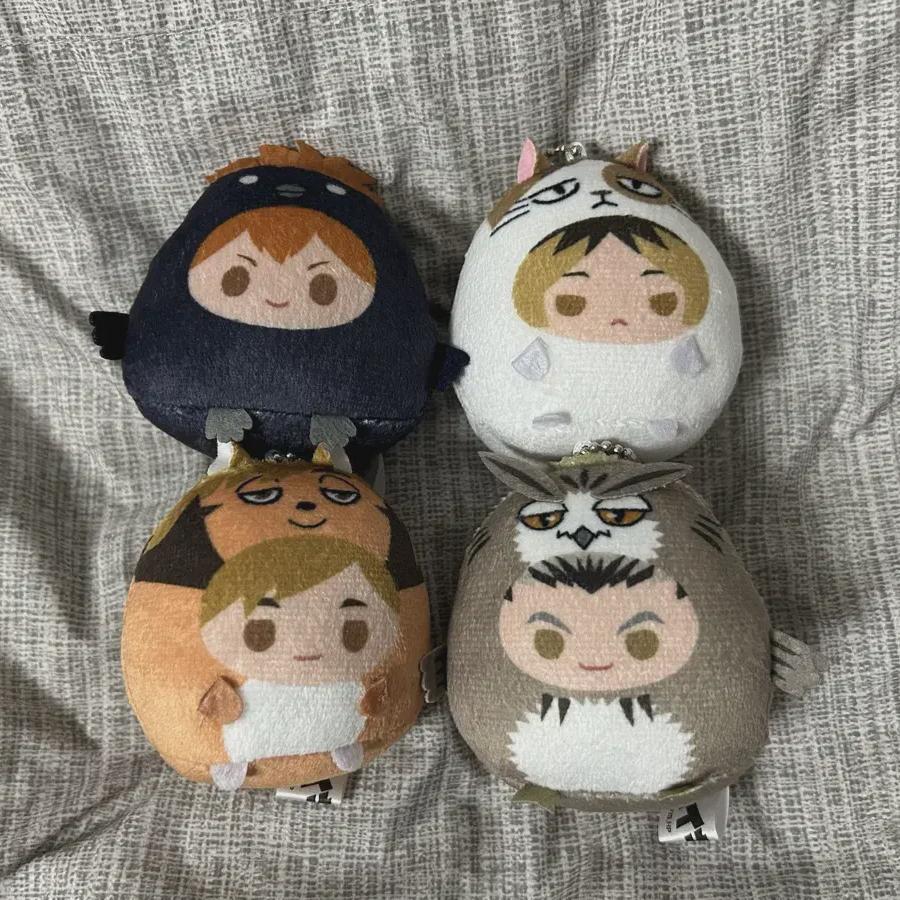 

Haikyu Tenorins Hinata Kenma Bokuto Atsumu