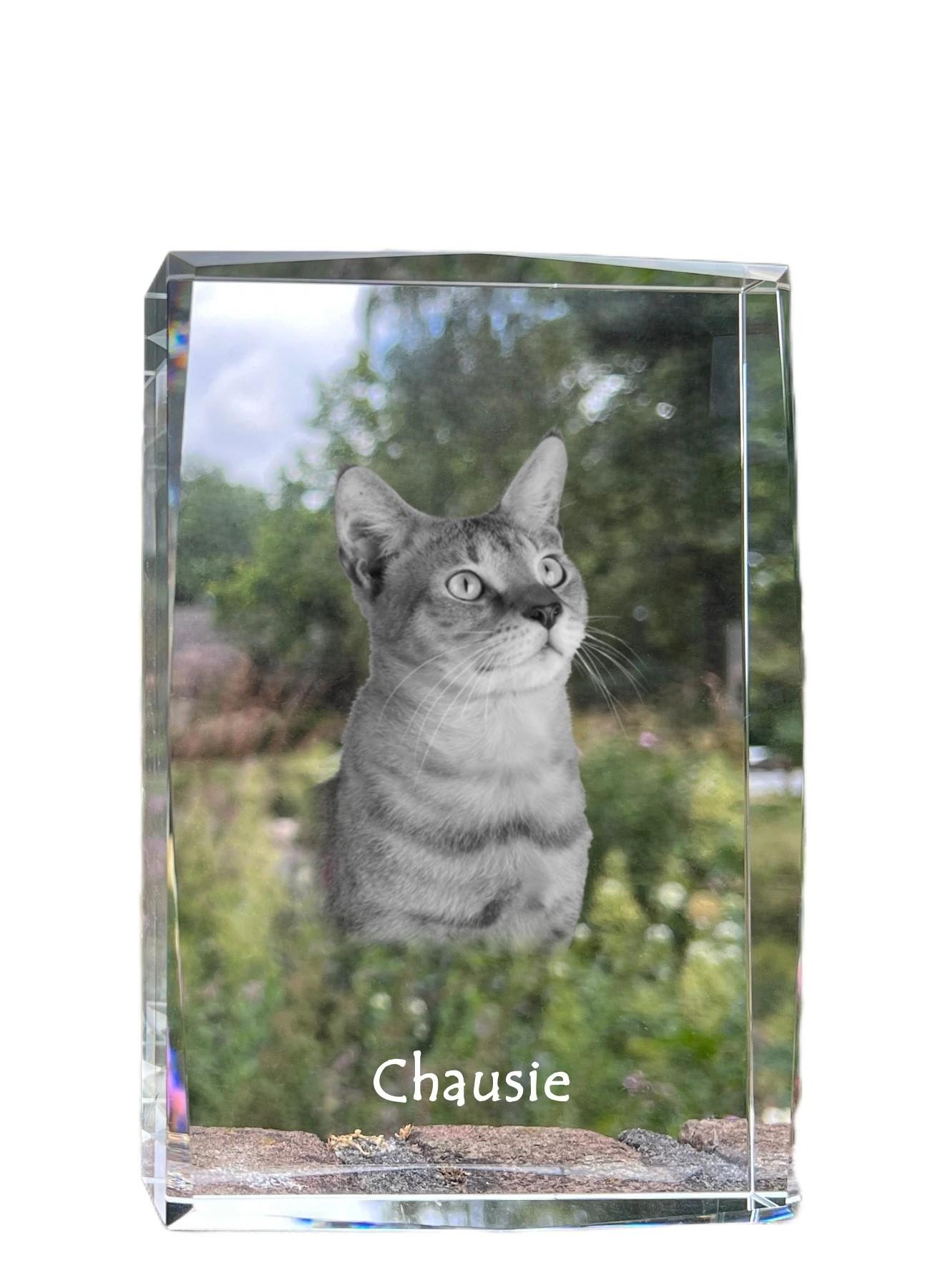 

Chausie - crystal with a picture of a cat, photo in glass, modern exhibition of Art-Dog brand photo прозорий