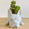 Creative Puppy Statue Flower Pot Resin Decoration Succulent Flower Pot Home Office Desktop Garden Decoration 10x5x3.5cm