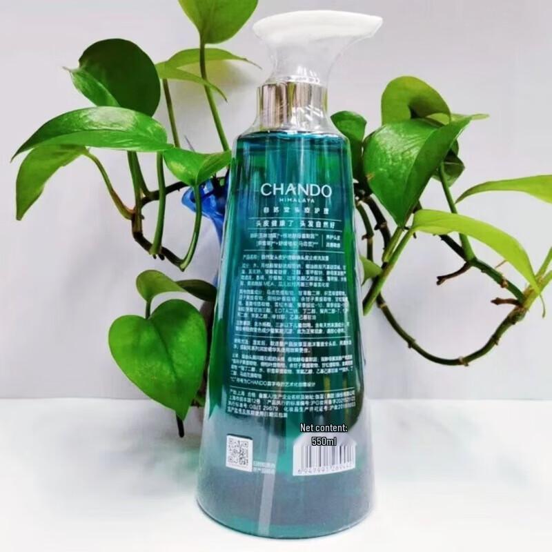 CHANDO Scalp Care Oil Control Anti-Dandruff Shampoo 550mL