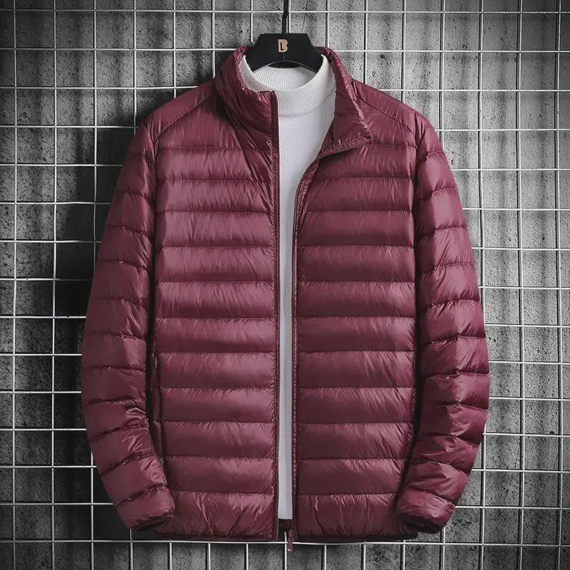 Men's Hooded Stand Collar Lightweight Down Cotton Jacket - 2022 Autumn/Winter Edition for All Ages