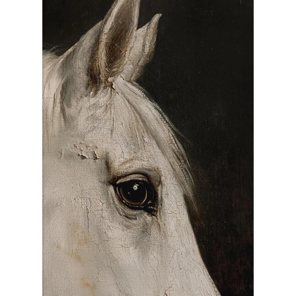 Vintage Botanical Flying Bird Rustic Horse Equestrian Rider Hunting Dog Poster Canvas Painting Print Wall Art Picture Home Decor