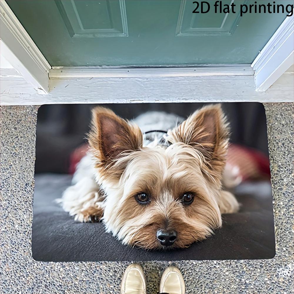 

2D Flat-1PC Cute Pet Door Mats for Home , Welcome mats for home decoration. 40cm x 60cm