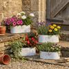 Double Handle Metal Flower Pot Distressed Finish Succulent Planter Plant Container  Living Room