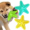New Dog Starfish Sound-making Toys, Pet Teething Sticks, Dog Toothbrushes, Pet Supplies