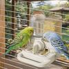 Large Capacity Automatic Bird Feeder No Spill Bird Drinker Bird Food Container  Indoor