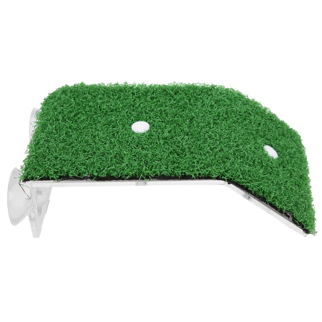 Plateforme de Baignade pour Reptiles Gazon de Simulation en Plastique pour Baignade de Soleil Escalade Aménagement PaysagerS