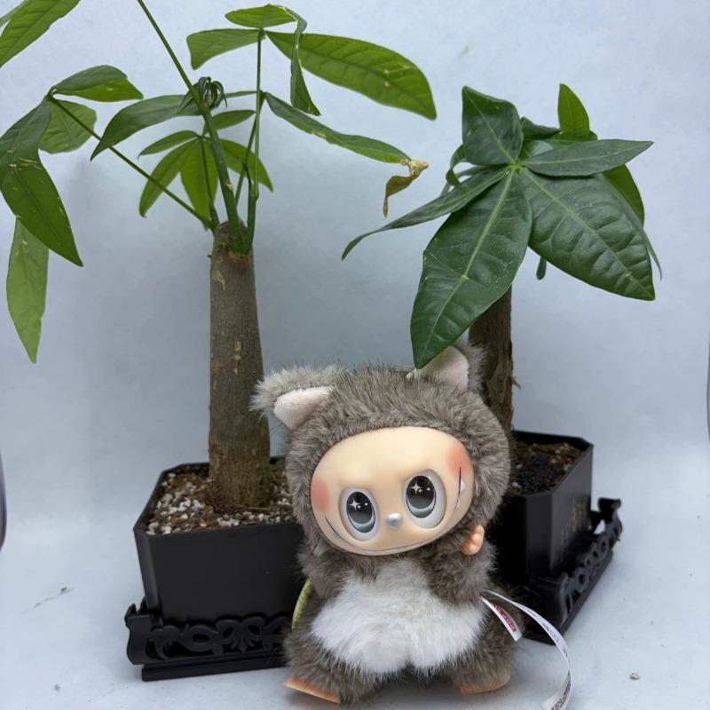 Die Monster Zimomo Braun Eichhörnchen Labubu Anime Figur Plüschpuppen Vinyl Anhänger Puppe Rucksack Anhänger Dekoration Plüsch Kinder Geschenk Repliken