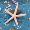 Stelle marine in resina Articoli decorativi per acquario in stile mediterraneo