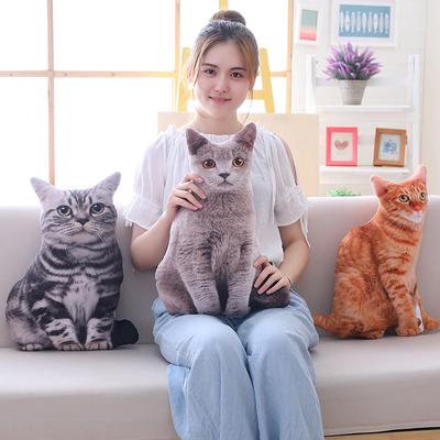 Creative Simulation Cat Throw Pillow Big Face Cat 3D Plush Toy Girl Korean Funny Doll Cute Mengmeng