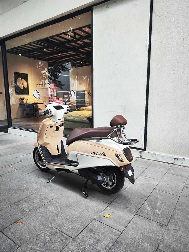 Tianfeishi Retro Backrest for Honda NS125LA, Easy Installation