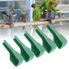 5pcs Long Narrow Spout Bird Feeding Spoon Plastic Bird Feeding Tool  Aviary Feeding Routine