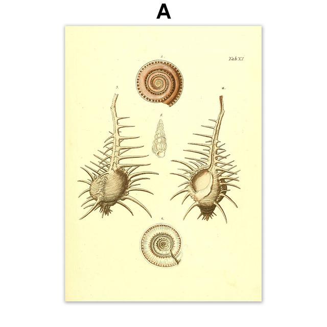 

Гребешок Раковина Устрица Моллюск Анатомия Рукопись Винтаж Плакат Печать Холст Искусство Украшения Стены Домашние Картины Для Гостиной 21*30cm