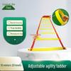 Zhenyue Agility Ladder