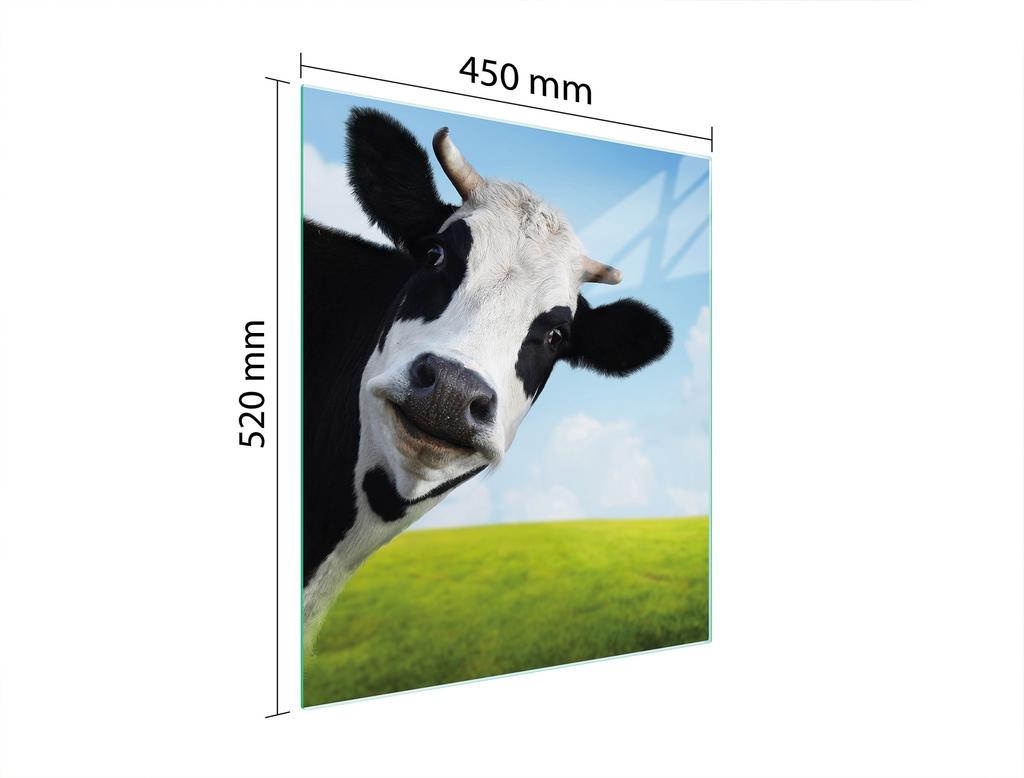 GLAS-SCHNEIDEBRETT 45x52 KUH