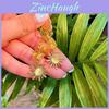Natural Stone Quartz Sun Earrings Handmade Boho Jewelry For Women