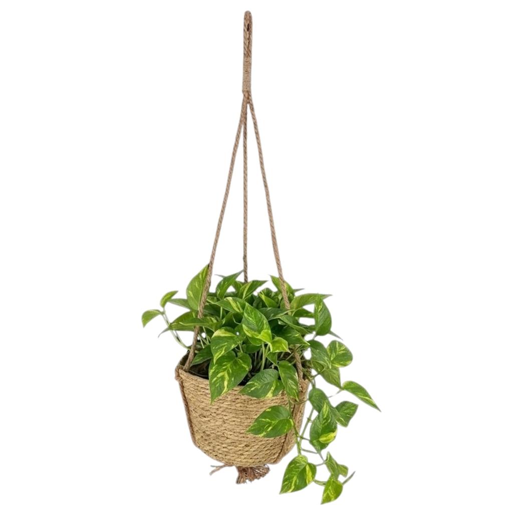 Kwietnik Wiszący Na Kwiaty Boho 20 Cm