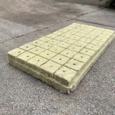 50 ks Grow Cube Hydroponie Klíčení Dobrá propustnost vzduchu Kostka pro množení vláknitých rostlin pro domácnost