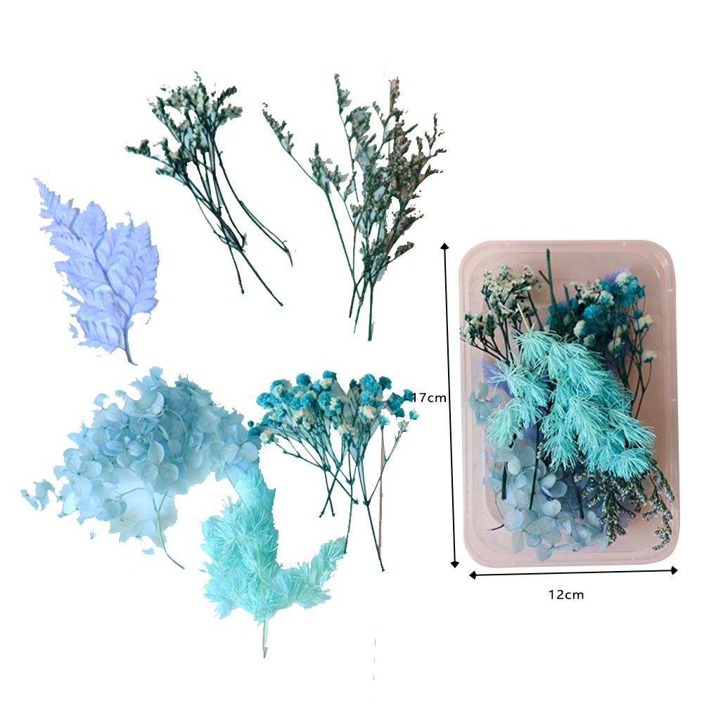 Naturalne kolorowe suszone kwiaty Diy rzemiosło pakiet materiałów na świeca zapachowa ręcznie girlanda ramka na zdjęcia Scrapbooking tworzenie kartek