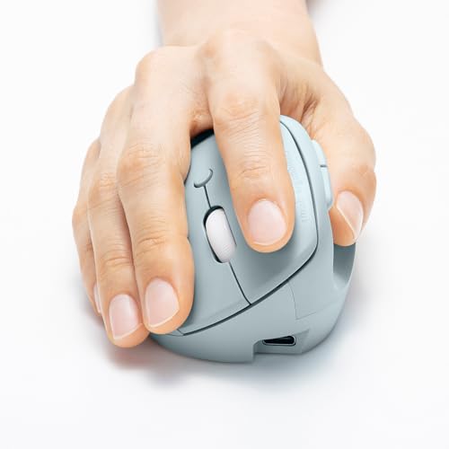 SANWA SUPPLY Silent Wireless Combo Compact Ergonomic Mouse (Rechargeable, 5 Buttons, Blue) MA-EWBBS522BL