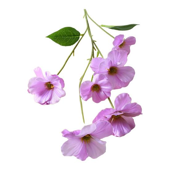 

Искусственный цветок Фаленопсис 6 головок Цветет Искусственный шелковый цветок Ветка со стеблем для Свадьбы Дома Офиса Вечеринки Отеля Декор светло-фиолетовый