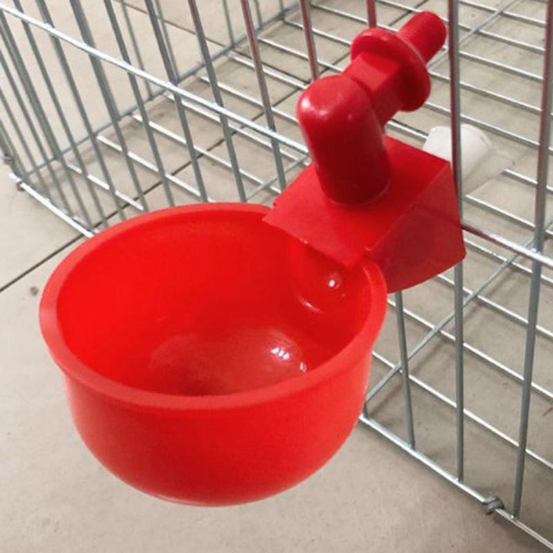 Adăpator automat pentru pui de prepeliță, agățat, ceașcă cu apă, boluri pentru băut, pentru hrănirea păsărilor, bol cu ​​apă, cești pentru păsări de curte