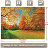 2D Bright Autumn Backdrop, Fall Forest Maple Trees Background for Outdoor Themed Events