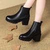 Spring and Autumn New Thick Heel Short Boots Women's Waterproof Table High Heels Platform Versatile Single Boots British Martin Boots