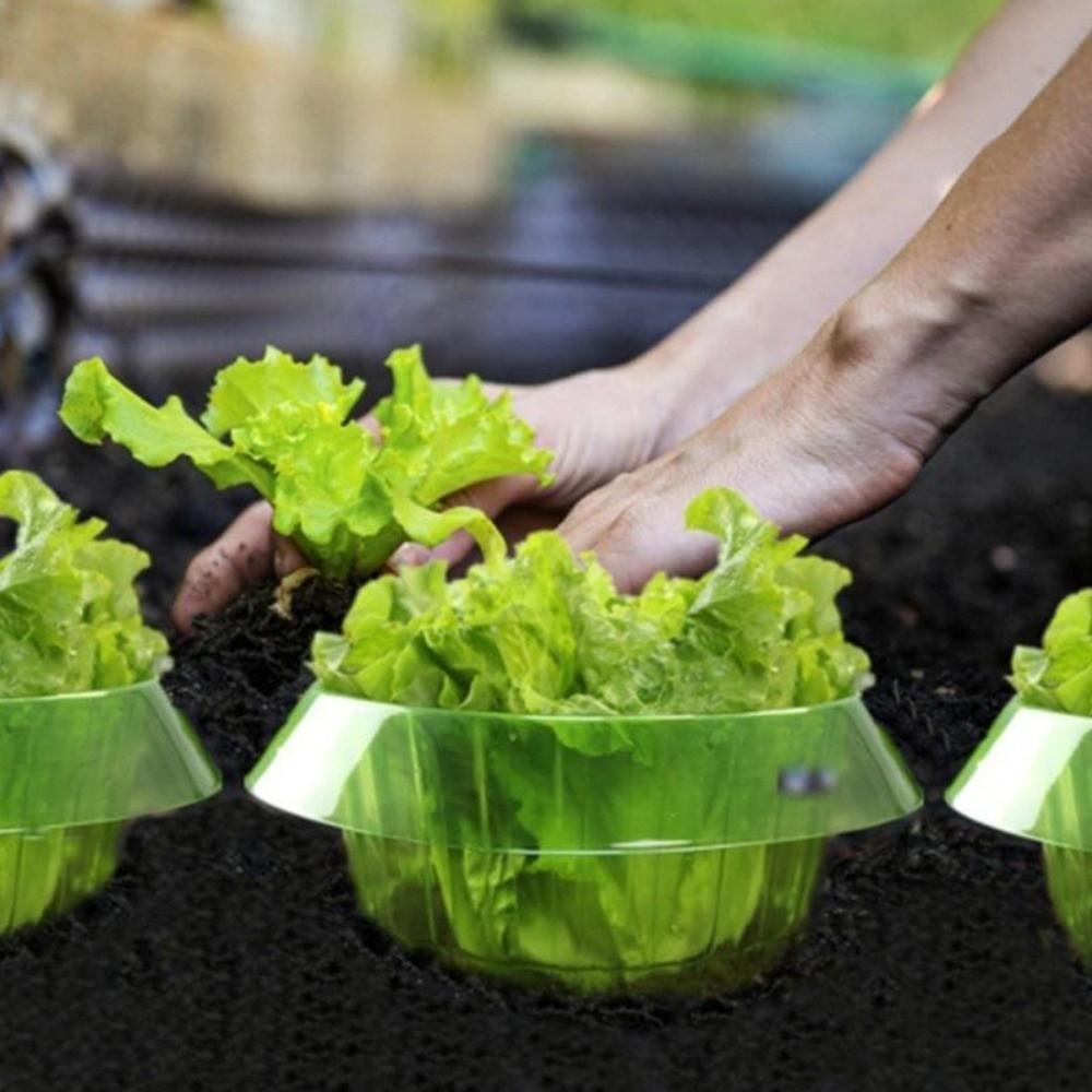 10PCS Plastic Vegetable Slug Collars Thickened Insect-Proof Plant Protection Covers Bite Protection Barrier Round