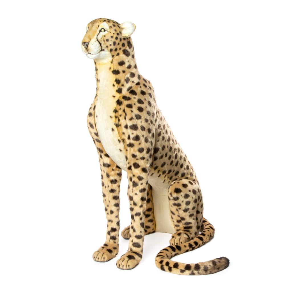 BH6543 HANSA Cheetah 110