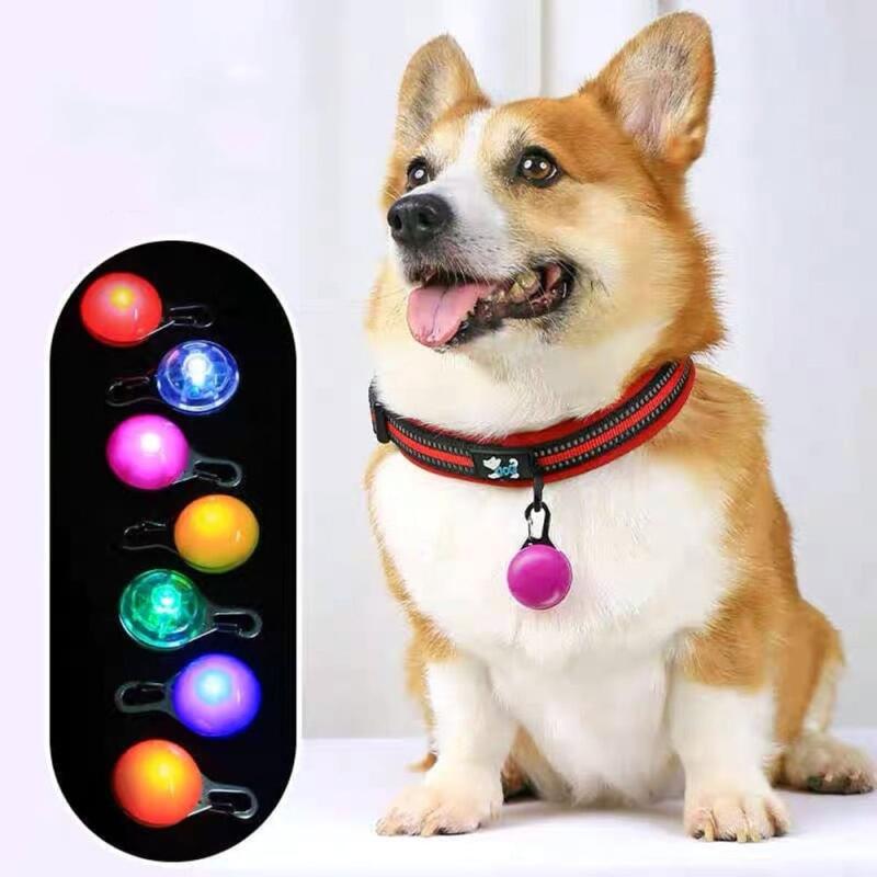 

Dog Night Walk LED Light Pendant 3p