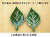Tableware East Chopstick Rests Set of Cutlery Spoon Tableware Set (Leaf Design), 5, Rests, Rests, (Green)