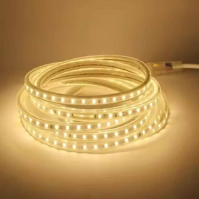 Ac 220V 5050 Led Strip Light Waterproof 60 Leds Flexible Tape Lamp With Eu Plug Lighting White 1M 2M 5M 10M 20M Outdoor Ribbon