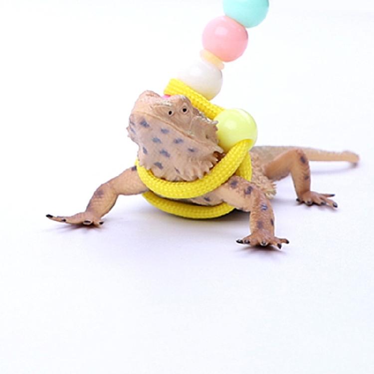 150cm Reptiles Leash with Adjustable Buckle Flexible Reptiles Traction Rope