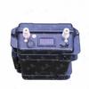 Bing Lan Marine LiFePO4 Battery