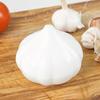 1pc Garlic Preservation Box, Storage Fruit Box, Onion Sealing Box, Garlic Preservation Bowl