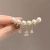 High-end Pearl Tassel Water Drop Zircon Brooch Exquisite Suit Corsage Accessories Fixed Clothes Anti-light Pin Women