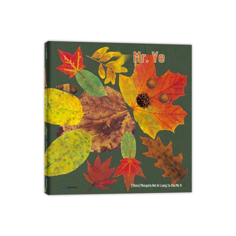 Mr. Leaf Children s Picture Book