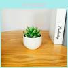 Fake Succulent Plant Pot With Pvc Material For Home Decor And Office Indoor Display
