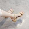 68022-1 Fashion women's sandals 2025 fashion summer new French temperament thick heel women's shoes
