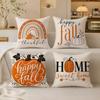 Pumpkin Patch Cushion Cover Breathable Organic Short Plush Pillow Covers Machine Washable Wrinkle-Resistant Soft Durable