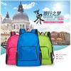 Outdoor Travel Unisex Folding Backpack Foldable Skin Bag Outdoor Waterproof Travel Promotional Backpack